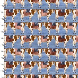 HOMETOWN AMERICA from 3 WISHES FABRIC