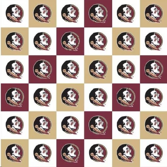 COLLEGIATE PRINTS FROM SYKEL FLORIDA STATE PATTER FSU1158 CHECK