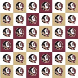 COLLEGIATE PRINTS FROM SYKEL FLORIDA STATE PATTER FSU1158 CHECK