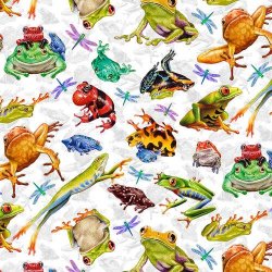 JEWELS OF THE JUNGLE from STUDIO E - FROGS & DRAGONFLIES
