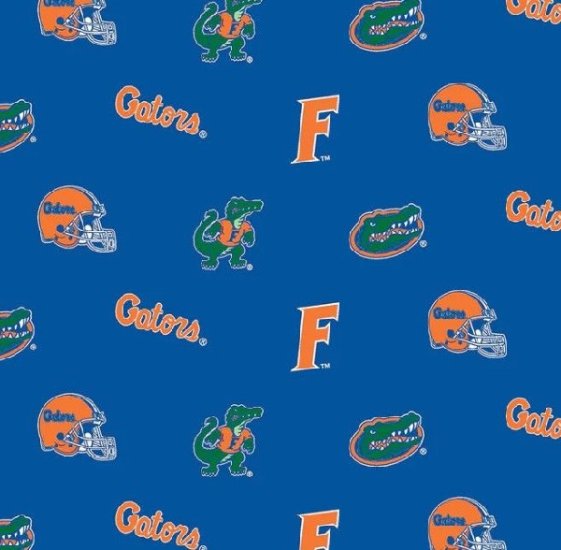 COLLEGIATE PRINTS FROM SYKEL UNIVERSITY OF FLORIDA