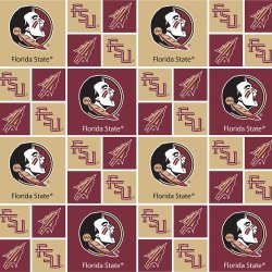 COLLEGIATE PRINTS FROM SYKEL FLORIDA STATE