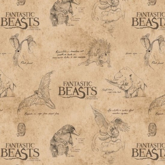 WIZARDING WORLD FANTASTIC BEASTS - CREATURES & LOGO