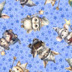 LIL\' WIZARDS FROM QT FABRICS