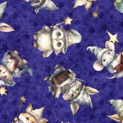 LIL\' WIZARDS FROM QT FABRICS