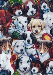 PICTURE DAY DOGS FROM DAVID TEXTILES