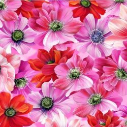 FLORAL FANTASY FROM MICHAEL MILLER FABRICS