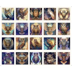 MYSTIC OWLS FROM QT FABRICS
