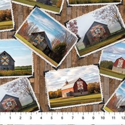 BARN QUILTS BY STEVE BAKER FOR NORTHCOTT FABRICS