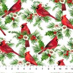 CARDINAL CHRISTMAS FROM NORTHCOTT