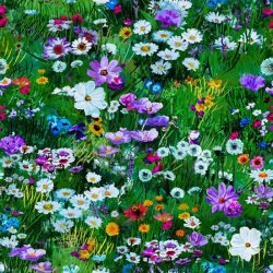 INTO THE MEADOW HOFFMAN CHALLENGE 2021-2022 FROM HOFFMAN FABRICS