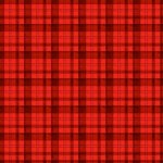 TAHOE PLAID FROM OASIS FABRICS