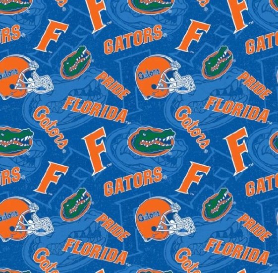 COLLEGIATE PRINTS FROM SYKEL UNIVERSITY OF FLORIDA