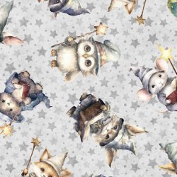 LIL\' WIZARDS FROM QT FABRICS