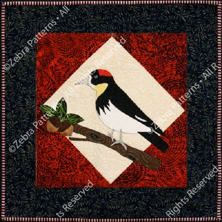 ZEBRA PATTERN BIRDS 2 COLLECTION ACORN WOODPECKER