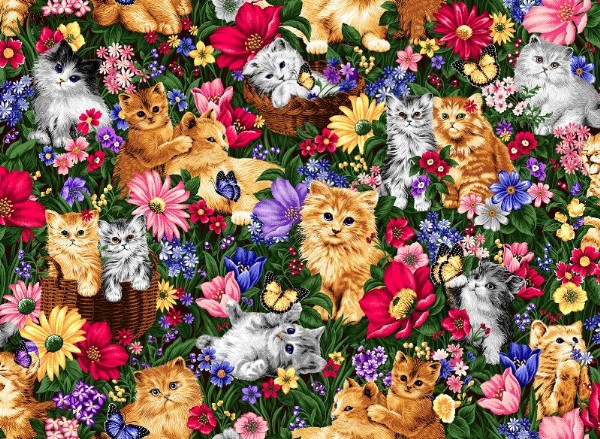 PURR-FECT! FROM OASIS FABRICS