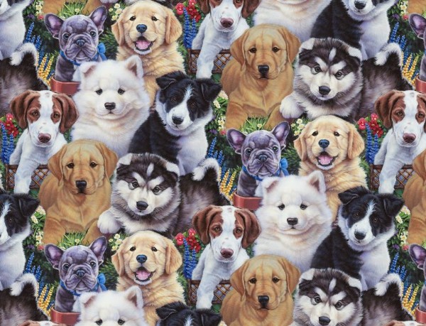 PRECIOUS PUPPIES FROM DAVID TEXTILES